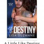 A Little Like Destiny slayed me has me anticipating the release of the next book in this rockstar romance. If you adore love triangles this is a MUST READ.