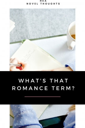 With reading romance comes learning a whole new set of terms that don't always span genres. This list of romance novel terms will get you started.