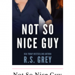 If you are looking for a comical friends to lovers novel filled with silly antics, grab your copy of Not So Nice Guy today!