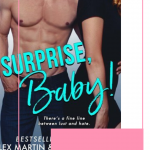 Surprise Baby is an enemies to lovers surprise pregnancy romance is freaking gold and I enjoyed every second of this laugh out loud comedy.