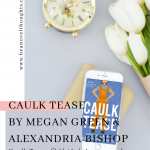 Caulk Tease, the first book in the BrookStone Partners by Alexandria Bishop and Megan Green is a best friend's brothers, enemies to lovers romance novel.