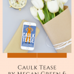 Caulk Tease, the first book in the BrookStone Partners by Alexandria Bishop and Megan Green is a best friend's brothers, enemies to lovers romance novel.